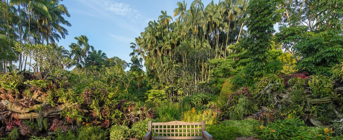 Garden Bench